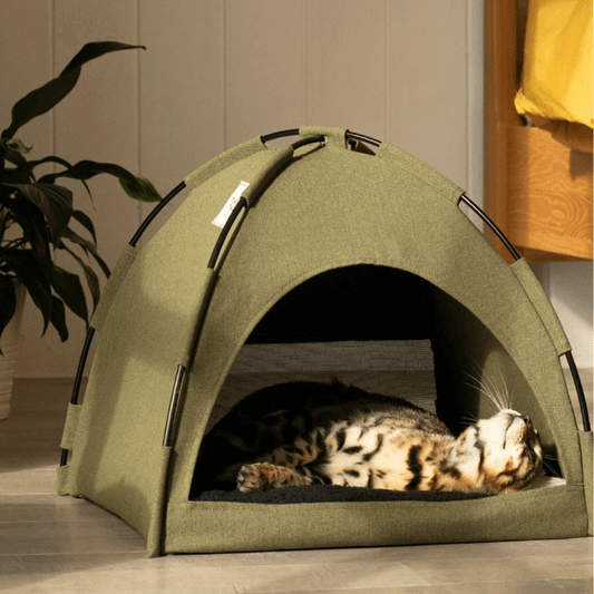 PawsPine™ | Schattige Katten Tent Bed