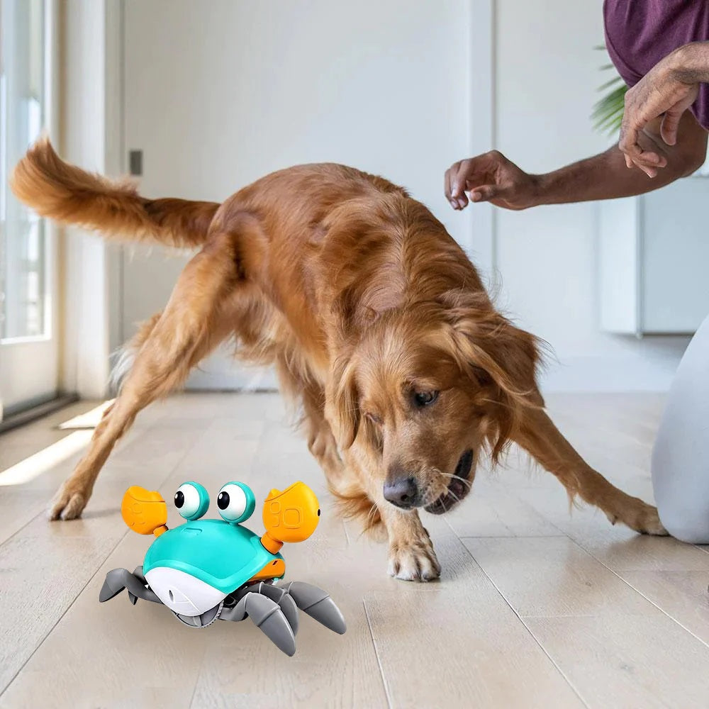 SnapCrab™ | Interactieve Speelgoed voor Honden