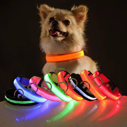 GlowDog™ | Wandel 's Avonds Veilig met Jouw Hond