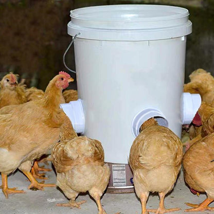 ChickenFeeder™ | De Ultieme Voederoplossing