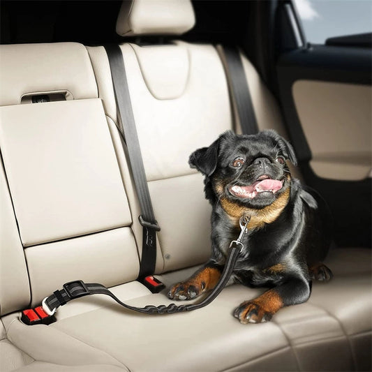PetGuard Belt™ | Reis Veilig met Jouw Hond
