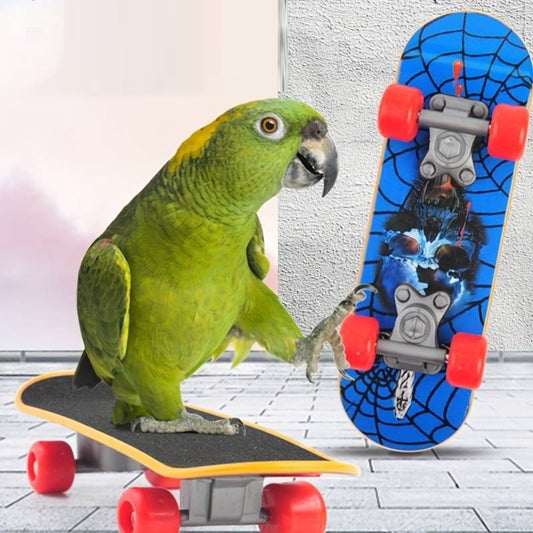 SkateBird™ | Het ultieme skateboard voor vogels