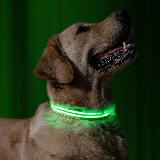 GlowDog™ | Wandel 's Avonds Veilig met Jouw Hond