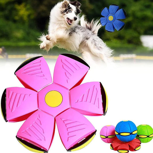 Magicball™ | Frisbee Bal Voor Huisdieren