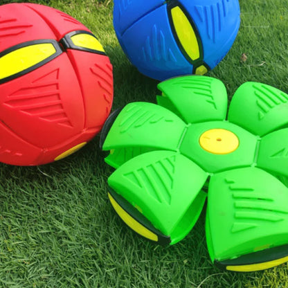 Magicball™ | Frisbee Bal Voor Huisdieren