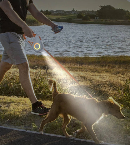 Glow & Go Intrekbare Hondenriem™ | Perfect voor veilige avondwandelingen
