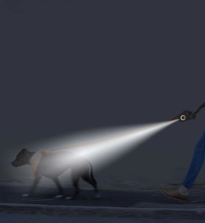 Glow & Go Intrekbare Hondenriem™ | Perfect voor veilige avondwandelingen