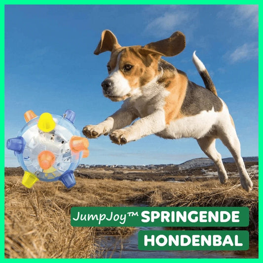 JumpJoy™ | Springende Hondenbal